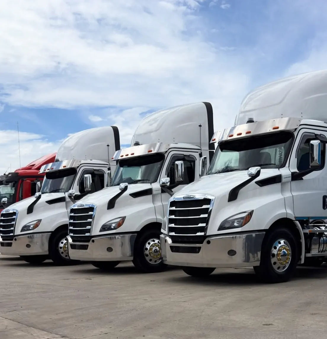 A line of white prime movers parked up after detailing